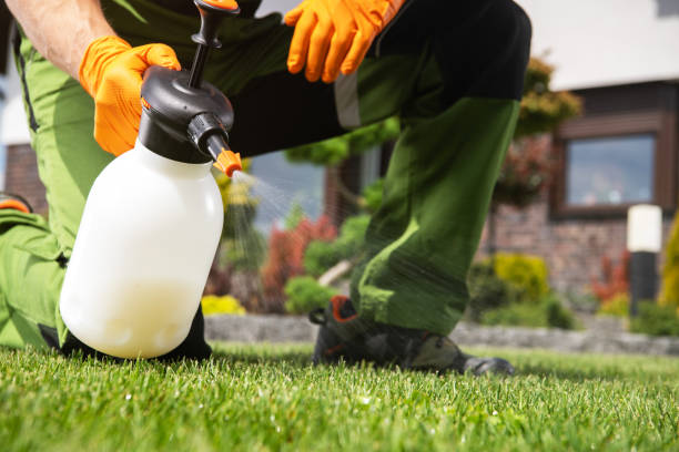 Best Affordable Pest Control Services  in Cloverport, KY