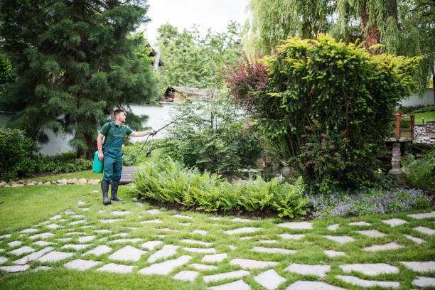 Best Affordable Exterminators  in Cloverport, KY