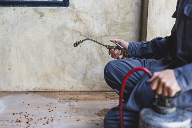 Best Termite Control Services  in Cloverport, KY