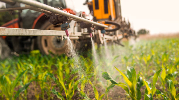 Best Mosquito Control Services  in Cloverport, KY