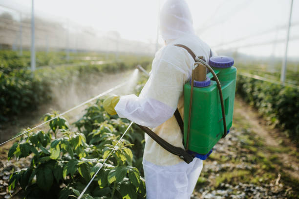 Best Flea Control Services  in Cloverport, KY